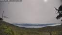 ./images/calvert/fitz-hugh-hecate/20250629/fitz-hugh-hecate20250629_094010M.jpg