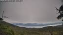 ./images/calvert/fitz-hugh-hecate/20250629/fitz-hugh-hecate20250629_095510M.jpg