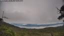 ./images/calvert/fitz-hugh-hecate/20250629/fitz-hugh-hecate20250629_100509M.jpg
