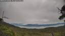 ./images/calvert/fitz-hugh-hecate/20250629/fitz-hugh-hecate20250629_101010M.jpg