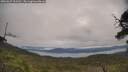 ./images/calvert/fitz-hugh-hecate/20250629/fitz-hugh-hecate20250629_101510M.jpg