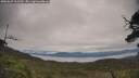 ./images/calvert/fitz-hugh-hecate/20250629/fitz-hugh-hecate20250629_102510M.jpg