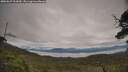 ./images/calvert/fitz-hugh-hecate/20250629/fitz-hugh-hecate20250629_103010M.jpg