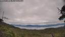 ./images/calvert/fitz-hugh-hecate/20250629/fitz-hugh-hecate20250629_104010M.jpg
