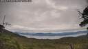 ./images/calvert/fitz-hugh-hecate/20250629/fitz-hugh-hecate20250629_104509M.jpg