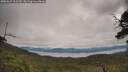 ./images/calvert/fitz-hugh-hecate/20250629/fitz-hugh-hecate20250629_105510M.jpg