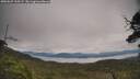 ./images/calvert/fitz-hugh-hecate/20250629/fitz-hugh-hecate20250629_110509M.jpg