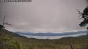 ./images/calvert/fitz-hugh-hecate/20250629/fitz-hugh-hecate20250629_112509M.jpg