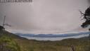 ./images/calvert/fitz-hugh-hecate/20250629/fitz-hugh-hecate20250629_113010M.jpg