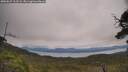 ./images/calvert/fitz-hugh-hecate/20250629/fitz-hugh-hecate20250629_113507M.jpg