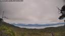 ./images/calvert/fitz-hugh-hecate/20250629/fitz-hugh-hecate20250629_114009M.jpg