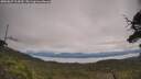 ./images/calvert/fitz-hugh-hecate/20250629/fitz-hugh-hecate20250629_114510M.jpg