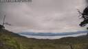 ./images/calvert/fitz-hugh-hecate/20250629/fitz-hugh-hecate20250629_115010M.jpg