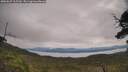 ./images/calvert/fitz-hugh-hecate/20250629/fitz-hugh-hecate20250629_115510M.jpg