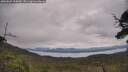 ./images/calvert/fitz-hugh-hecate/20250629/fitz-hugh-hecate20250629_120010M.jpg