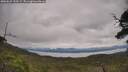 ./images/calvert/fitz-hugh-hecate/20250629/fitz-hugh-hecate20250629_120509M.jpg