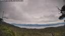 ./images/calvert/fitz-hugh-hecate/20250629/fitz-hugh-hecate20250629_122509M.jpg