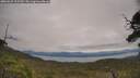 ./images/calvert/fitz-hugh-hecate/20250629/fitz-hugh-hecate20250629_125510M.jpg