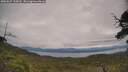 ./images/calvert/fitz-hugh-hecate/20250629/fitz-hugh-hecate20250629_130010M.jpg