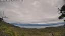 ./images/calvert/fitz-hugh-hecate/20250629/fitz-hugh-hecate20250629_130510M.jpg