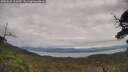 ./images/calvert/fitz-hugh-hecate/20250629/fitz-hugh-hecate20250629_131010M.jpg