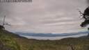 ./images/calvert/fitz-hugh-hecate/20250629/fitz-hugh-hecate20250629_132009M.jpg