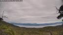 ./images/calvert/fitz-hugh-hecate/20250629/fitz-hugh-hecate20250629_132509M.jpg