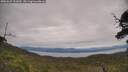 ./images/calvert/fitz-hugh-hecate/20250629/fitz-hugh-hecate20250629_133010M.jpg