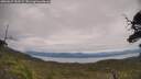 ./images/calvert/fitz-hugh-hecate/20250629/fitz-hugh-hecate20250629_133509M.jpg