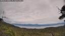 ./images/calvert/fitz-hugh-hecate/20250629/fitz-hugh-hecate20250629_134010M.jpg