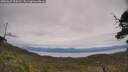 ./images/calvert/fitz-hugh-hecate/20250629/fitz-hugh-hecate20250629_134510M.jpg
