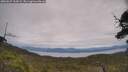 ./images/calvert/fitz-hugh-hecate/20250629/fitz-hugh-hecate20250629_135008M.jpg