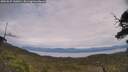 ./images/calvert/fitz-hugh-hecate/20250629/fitz-hugh-hecate20250629_140010M.jpg