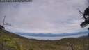 ./images/calvert/fitz-hugh-hecate/20250629/fitz-hugh-hecate20250629_142007M.jpg