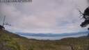 ./images/calvert/fitz-hugh-hecate/20250629/fitz-hugh-hecate20250629_142509M.jpg