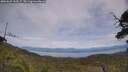 ./images/calvert/fitz-hugh-hecate/20250629/fitz-hugh-hecate20250629_144507M.jpg