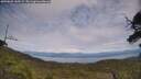 ./images/calvert/fitz-hugh-hecate/20250629/fitz-hugh-hecate20250629_145509M.jpg