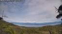 ./images/calvert/fitz-hugh-hecate/20250629/fitz-hugh-hecate20250629_150509M.jpg