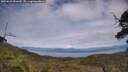 ./images/calvert/fitz-hugh-hecate/20250629/fitz-hugh-hecate20250629_151010M.jpg