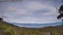 ./images/calvert/fitz-hugh-hecate/20250629/fitz-hugh-hecate20250629_152510M.jpg