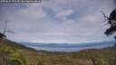 ./images/calvert/fitz-hugh-hecate/20250629/fitz-hugh-hecate20250629_153510M.jpg