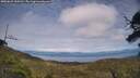 ./images/calvert/fitz-hugh-hecate/20250629/fitz-hugh-hecate20250629_154510M.jpg