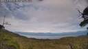 ./images/calvert/fitz-hugh-hecate/20250629/fitz-hugh-hecate20250629_155510M.jpg