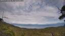 ./images/calvert/fitz-hugh-hecate/20250629/fitz-hugh-hecate20250629_161008M.jpg