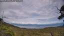 ./images/calvert/fitz-hugh-hecate/20250629/fitz-hugh-hecate20250629_161510M.jpg