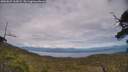 ./images/calvert/fitz-hugh-hecate/20250629/fitz-hugh-hecate20250629_162009M.jpg