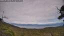 ./images/calvert/fitz-hugh-hecate/20250629/fitz-hugh-hecate20250629_163510M.jpg