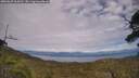 ./images/calvert/fitz-hugh-hecate/20250629/fitz-hugh-hecate20250629_164511M.jpg