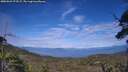 ./images/calvert/fitz-hugh-hecate/20250629/fitz-hugh-hecate20250629_173507M.jpg