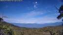 ./images/calvert/fitz-hugh-hecate/20250629/fitz-hugh-hecate20250629_175010M.jpg